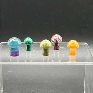5 crystal mushroom set 🍄